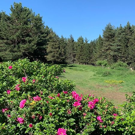 Gite Ranch Le Serpolet Лез Англ Екстериор снимка