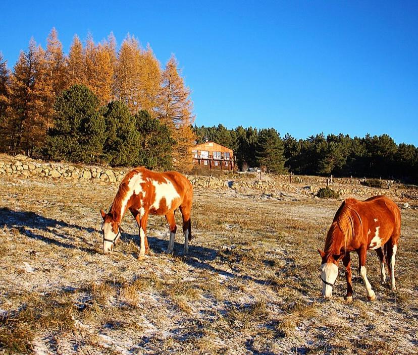 Gite Ranch Le Serpolet Лез Англ Екстериор снимка