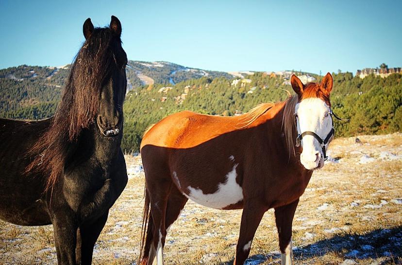 Gite Ranch Le Serpolet Лез Англ Екстериор снимка