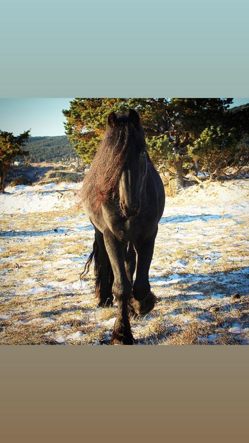 Gite Ranch Le Serpolet Лез Англ Екстериор снимка