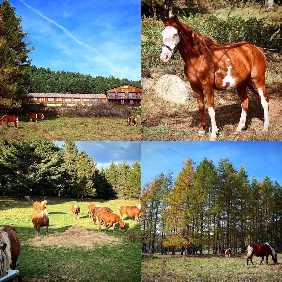 Gite Ranch Le Serpolet Лез Англ Екстериор снимка