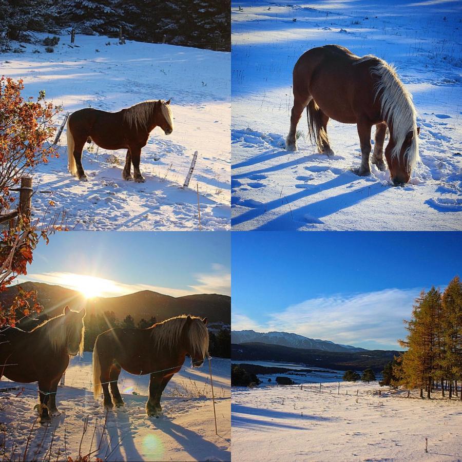 Gite Ranch Le Serpolet Лез Англ Екстериор снимка
