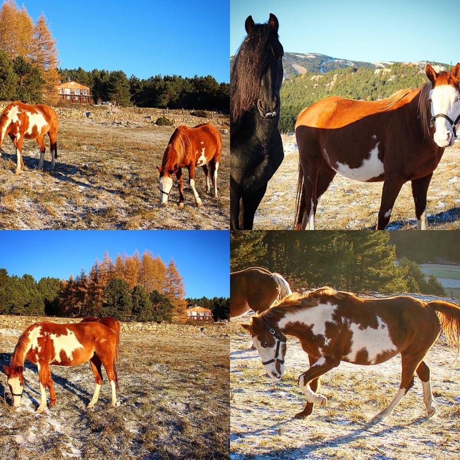Gite Ranch Le Serpolet Лез Англ Екстериор снимка