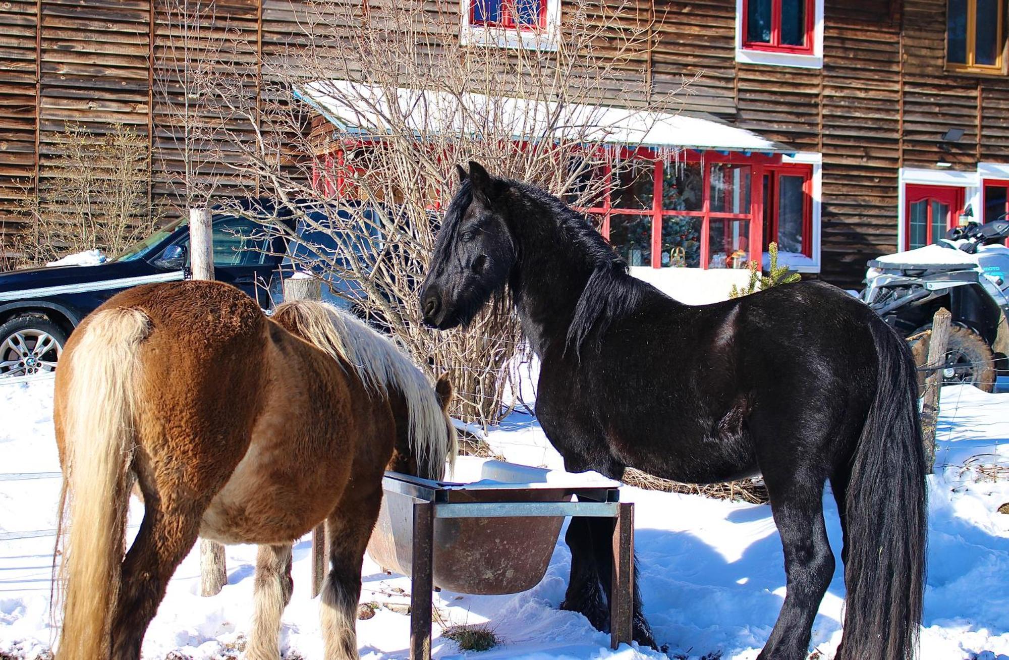 Gite Ranch Le Serpolet Лез Англ Екстериор снимка