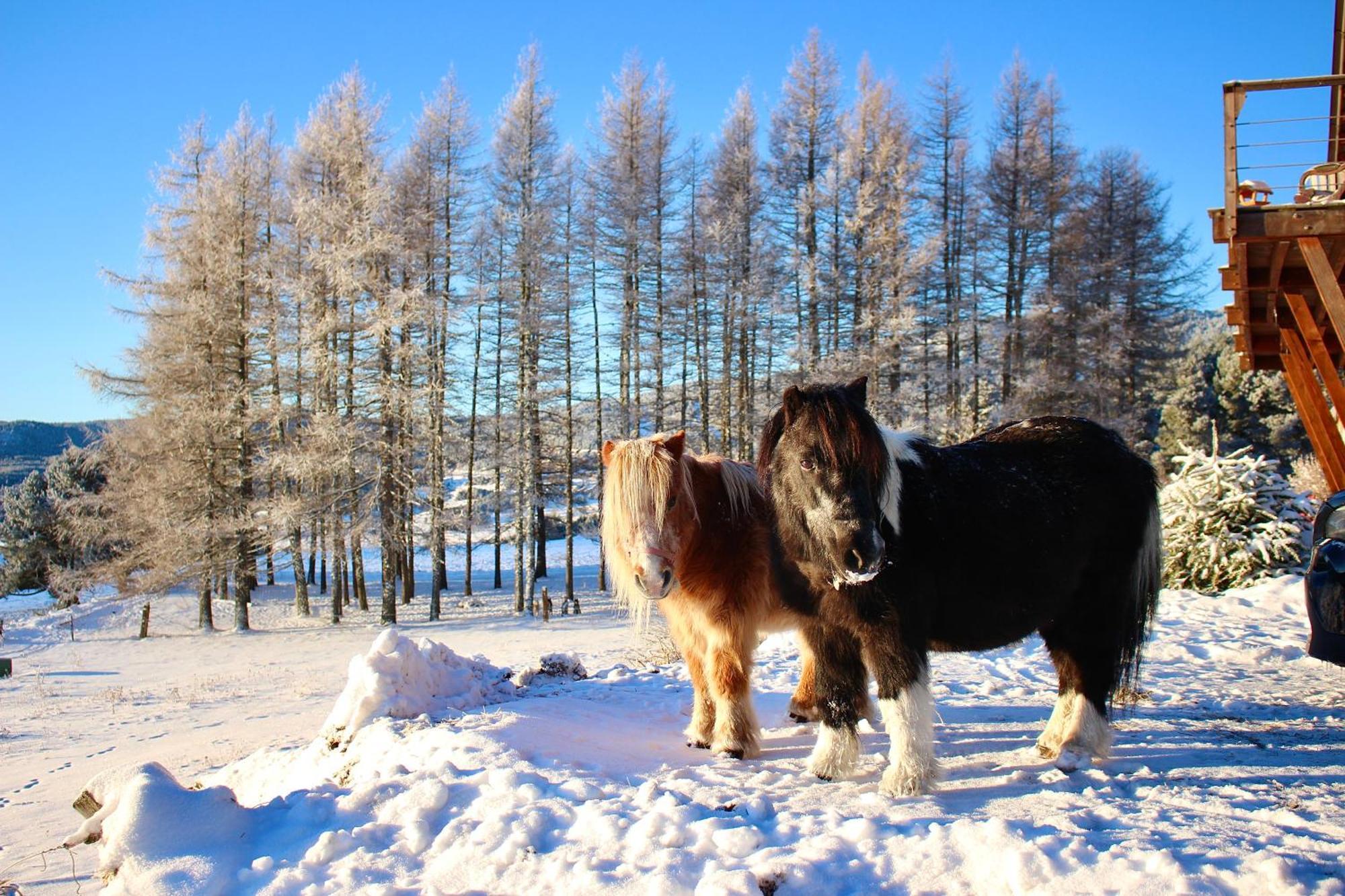 Gite Ranch Le Serpolet Лез Англ Екстериор снимка