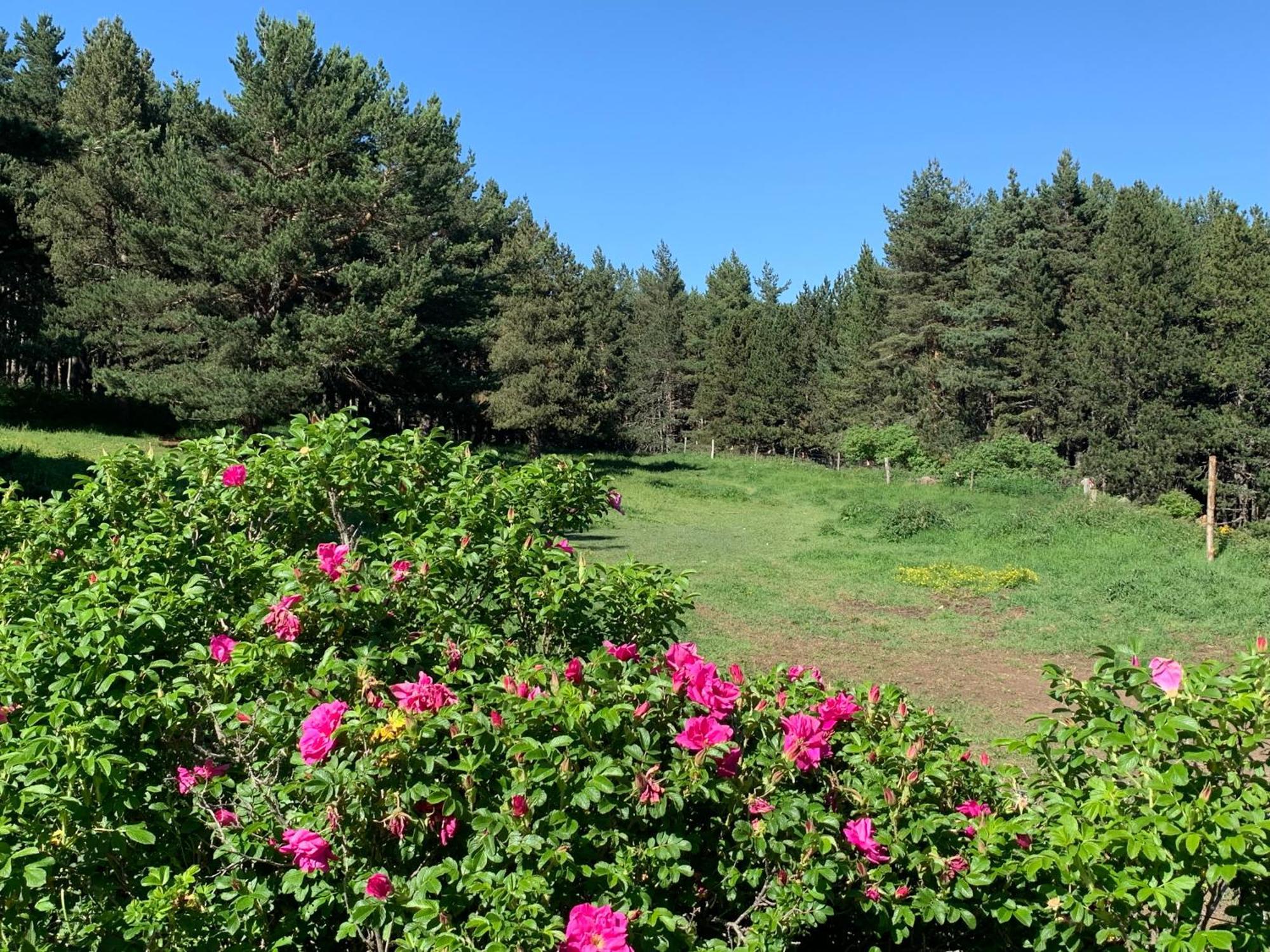 Gite Ranch Le Serpolet Лез Англ Екстериор снимка