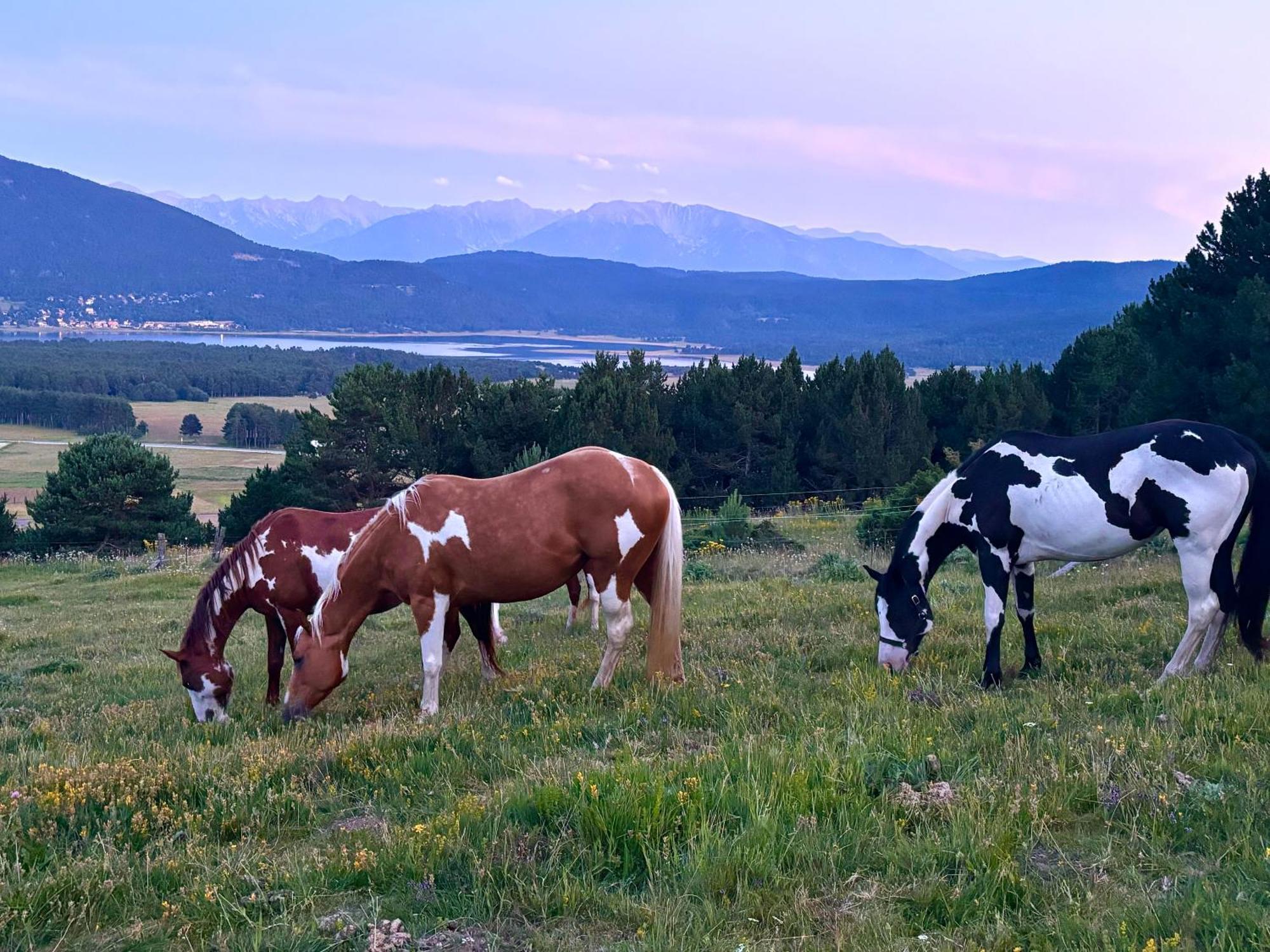 Gite Ranch Le Serpolet Лез Англ Екстериор снимка